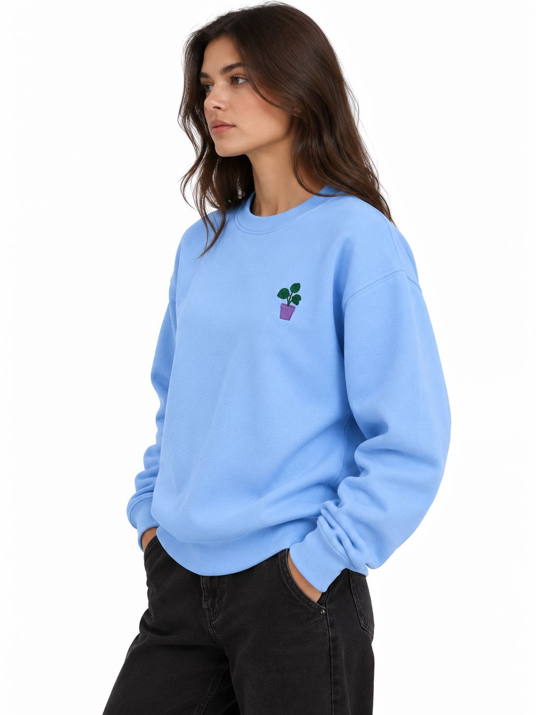Cheese Plant Sweatshirt The Alternative Store 
