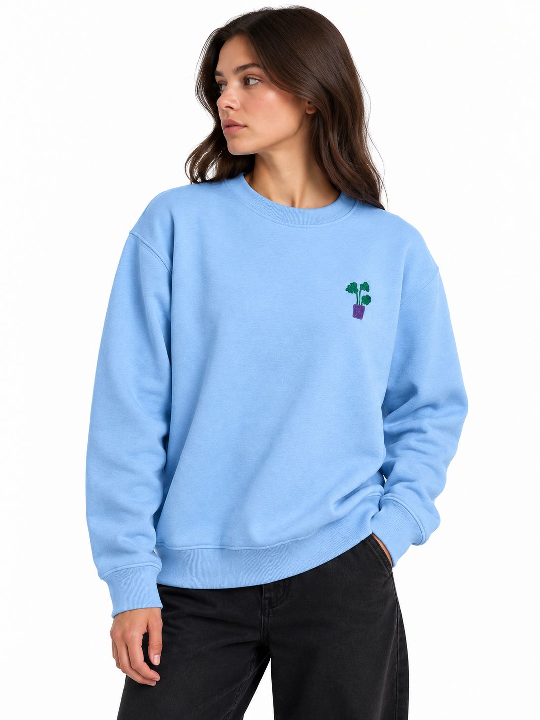 Cheese Plant Sweatshirt The Alternative Store 