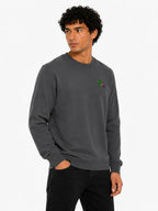 Cactus Sweatshirt Sweatshirts The Alternative Store 