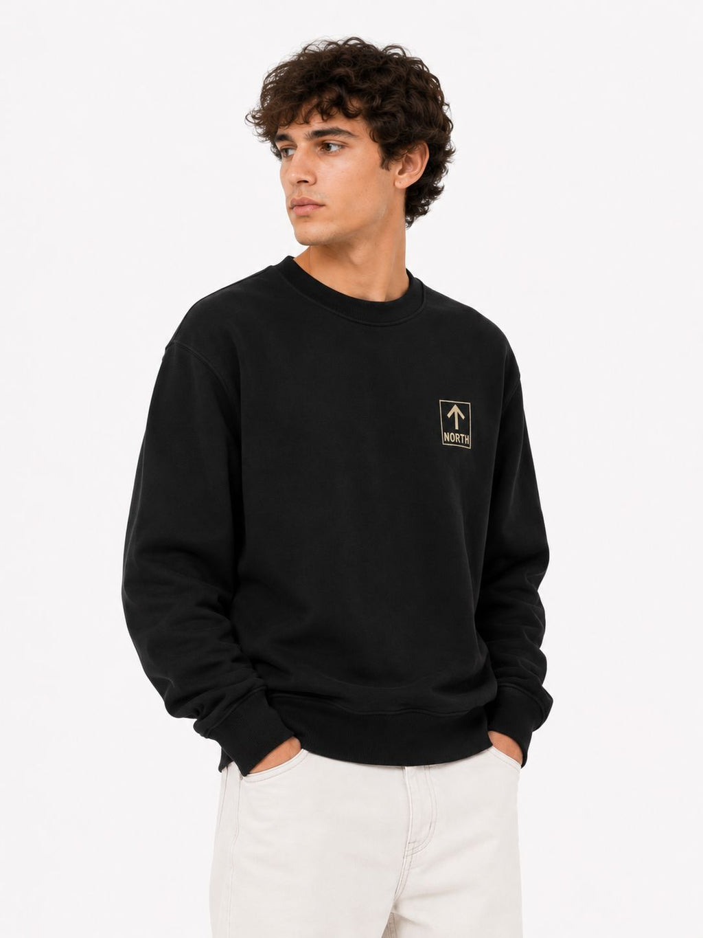 The Alternative ↑ North Sweatshirt The Alternative Store 