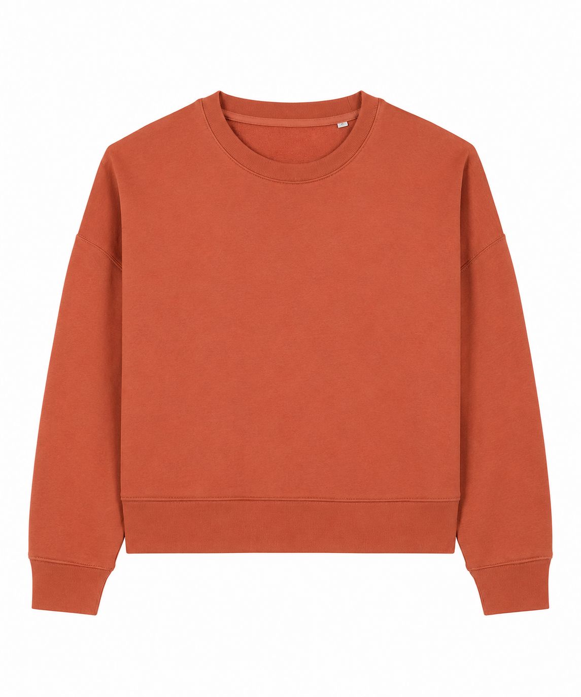 Crop Sweatshirt The Alternative Store Terracotta XS 