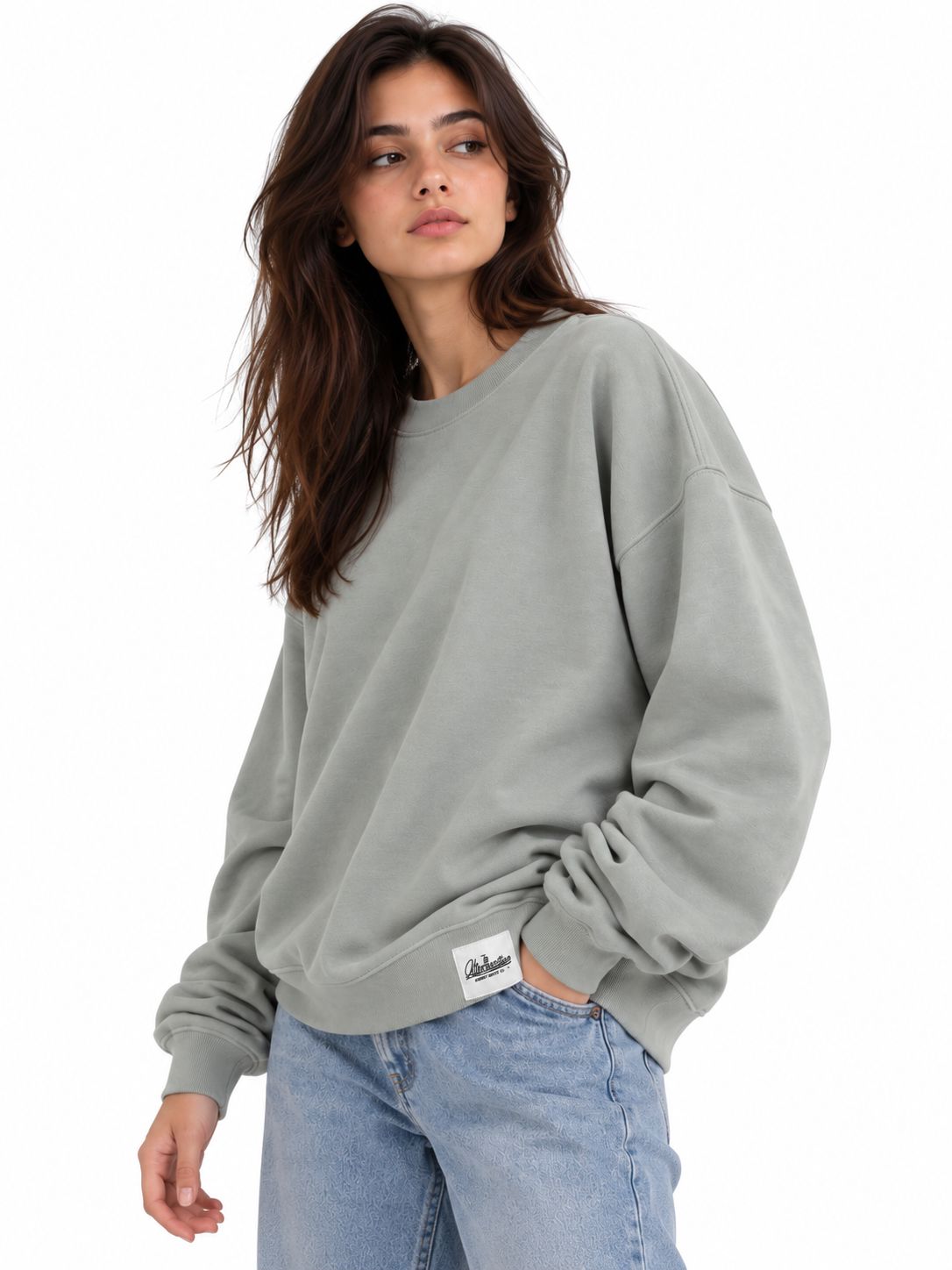 Sweatshirt Boxy The Alternative Store 