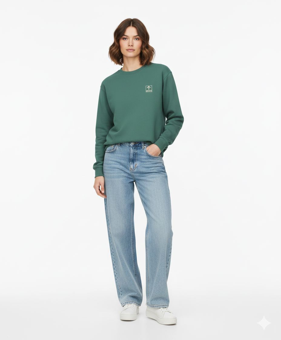 The Alternative ↑ North Sweatshirt The Alternative Store 