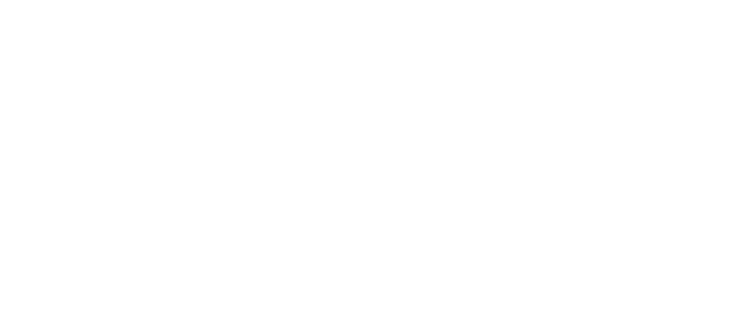 The Alternative Store